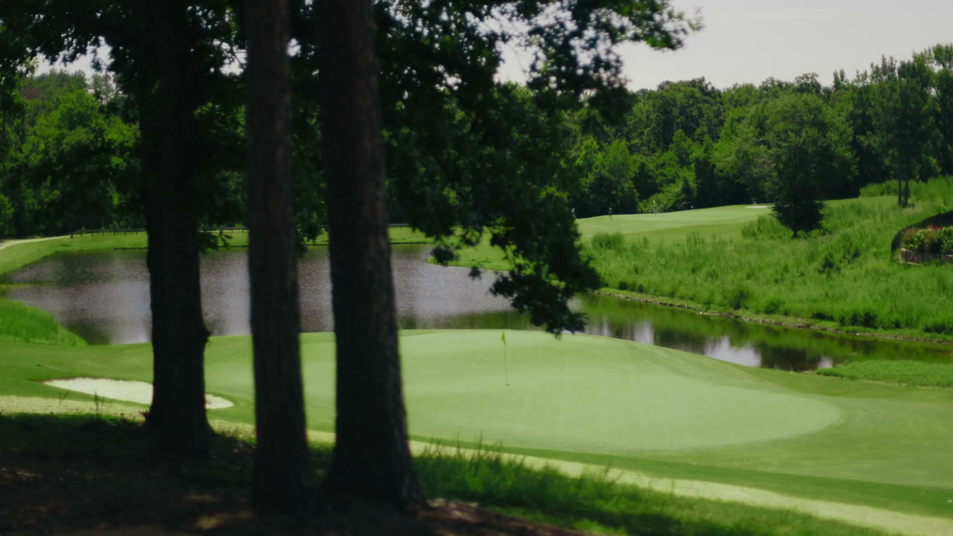 A green and pond framed by pines at Bartram Trail
