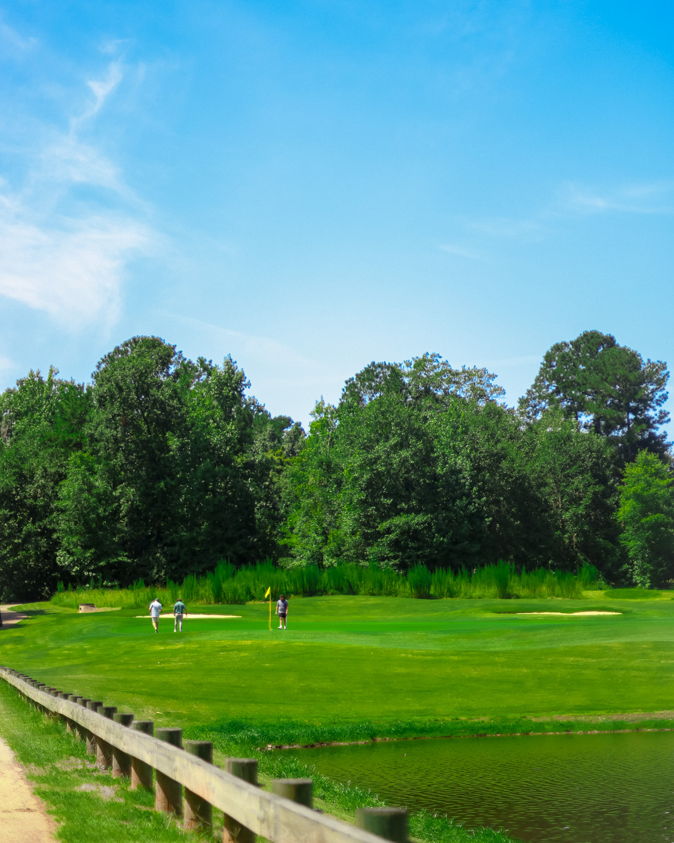 A green at Bartram Trail guarded by bunker and pond